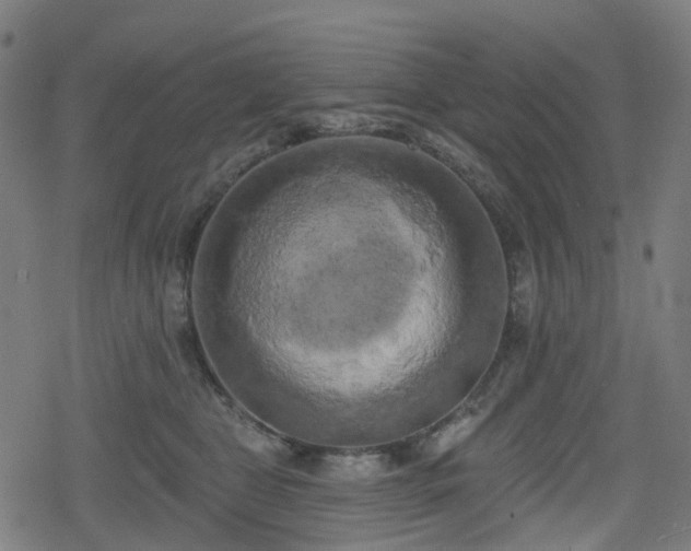 X0000078290469200611101113