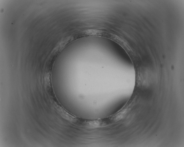 X0000078290473200611101113