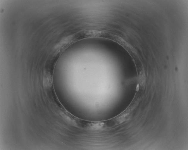 X0000078290474200611101113