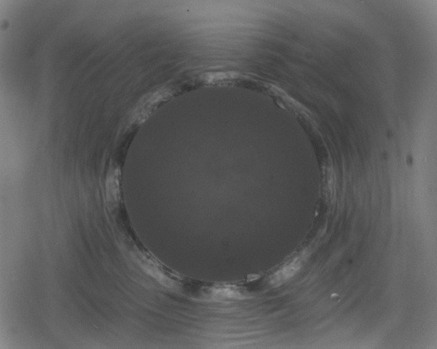 X0000078290475200611101113