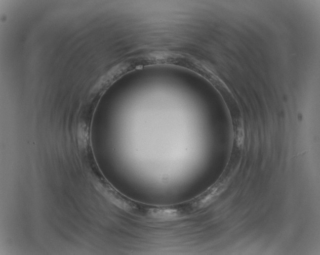 X0000078290476200611101113