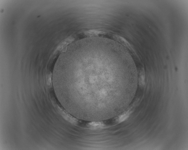 X0000078290477200611101113