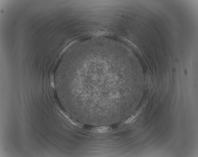 X0000078290479200611101113