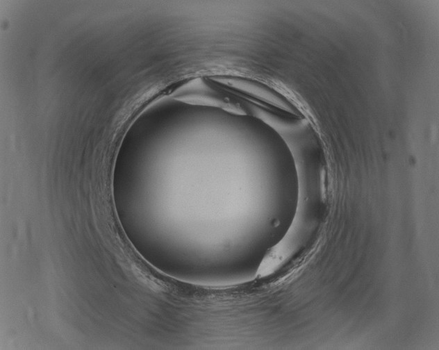 X0000078290481200611101112