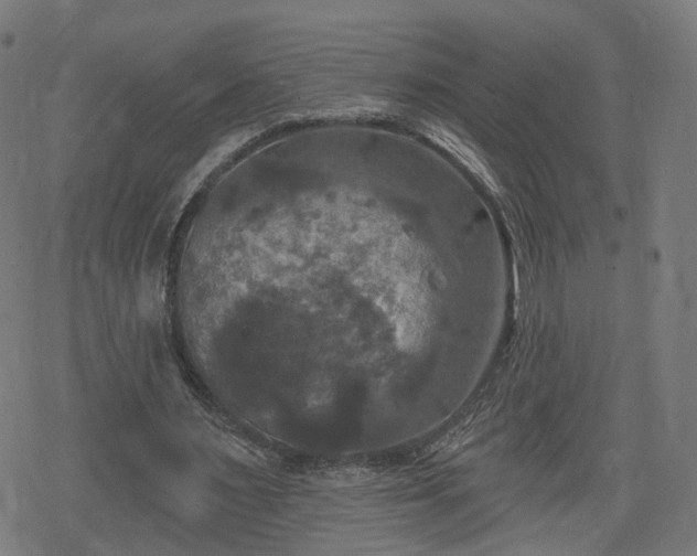 X0000078290483200611101112