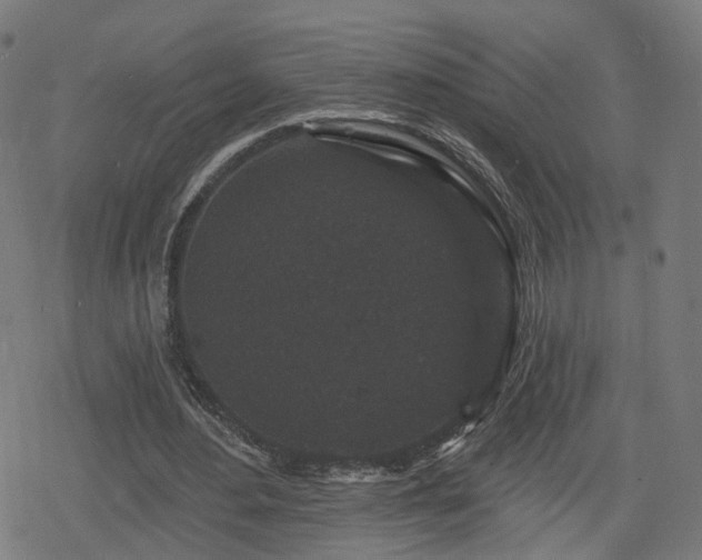 X0000078290484200611101112