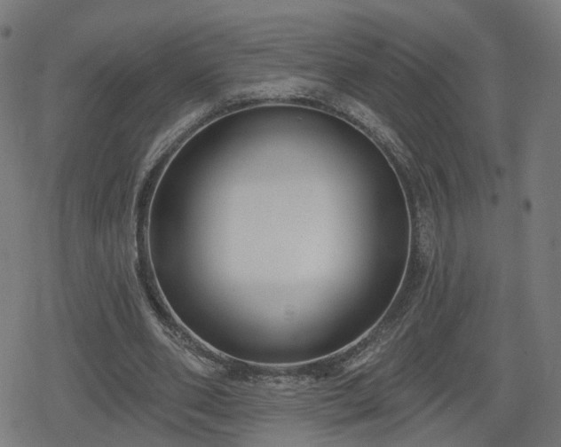 X0000078290486200611101112