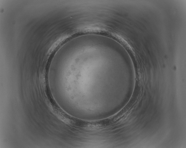 X0000078290487200611101112