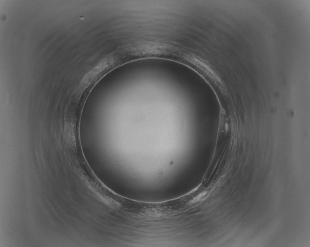 X0000078290489200611101112