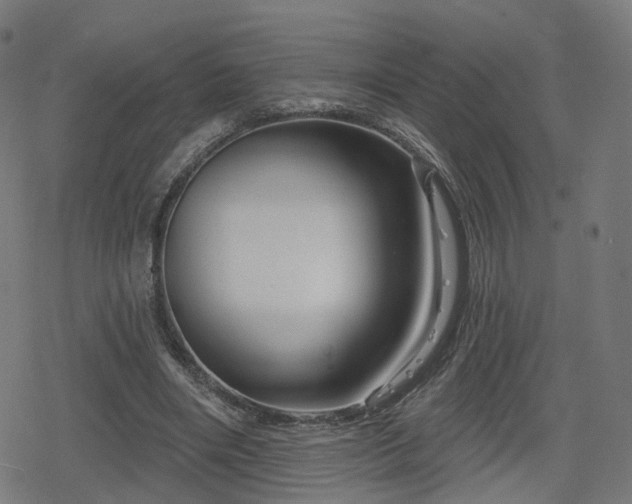 X0000078290490200611101112