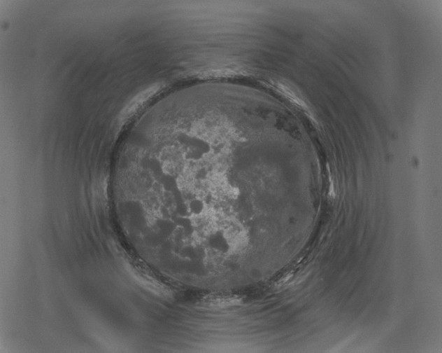 X0000078290491200611101112