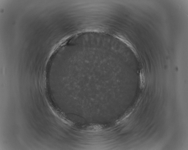 X0000078290492200611101112