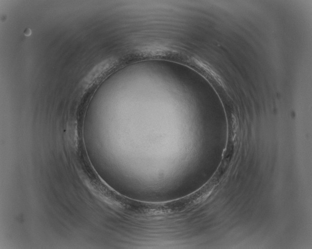 X0000078290494200611101112