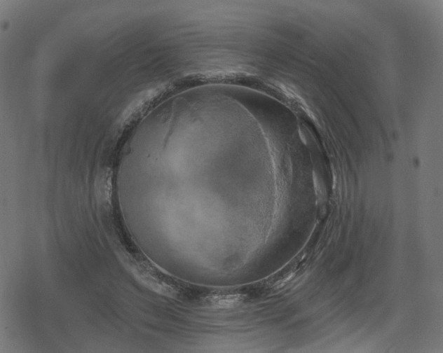 X0000078290495200611101112