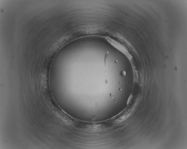 X0000078290497200611101112