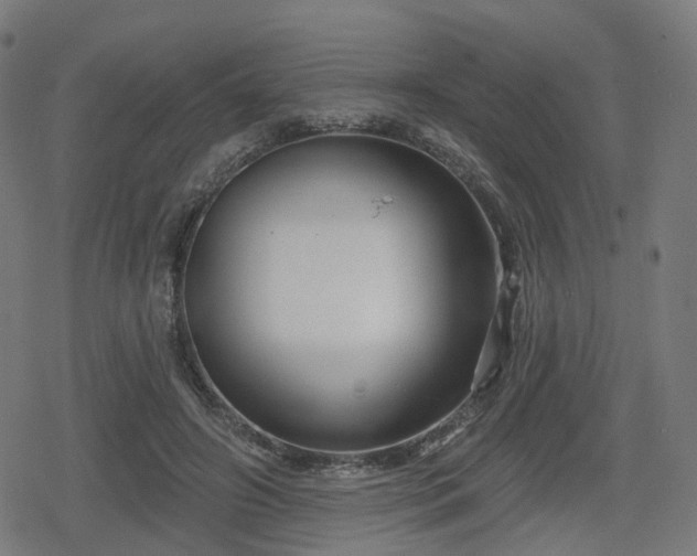 X0000078290498200611101112