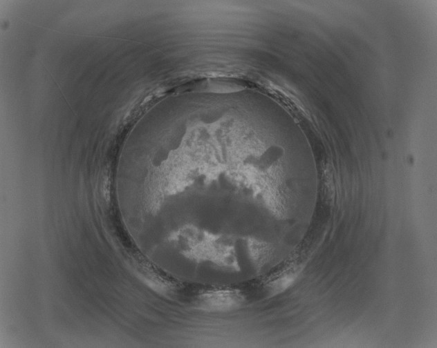 X0000078290499200611101112