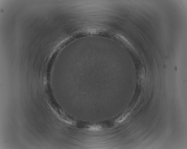 X0000078290500200611101112