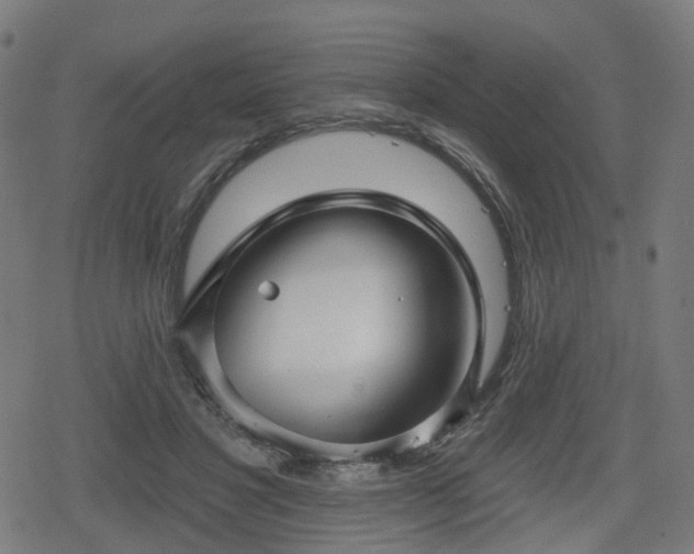 X0000078290501200611101112