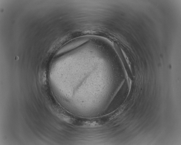 X0000078290502200611101112