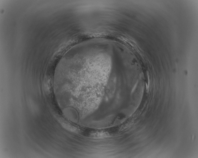 X0000078290503200611101112