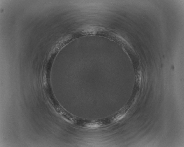 X0000078290504200611101112