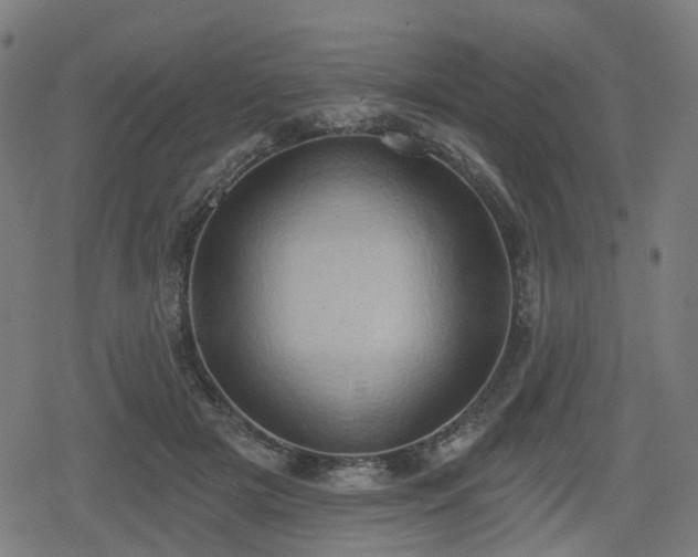 X0000078290505200611101112