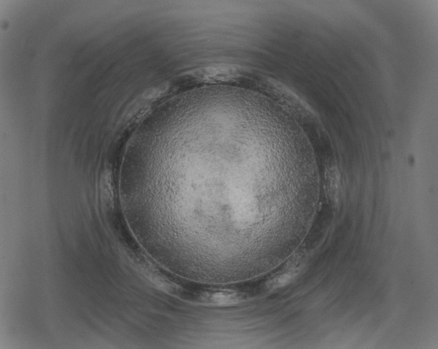 X0000078290506200611101112