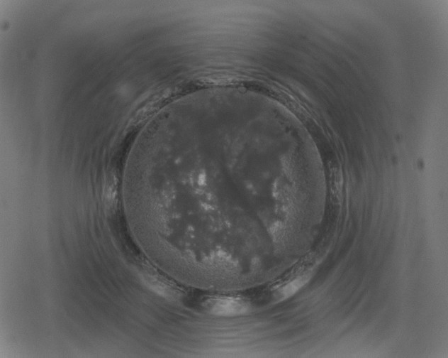 X0000078290507200611101112