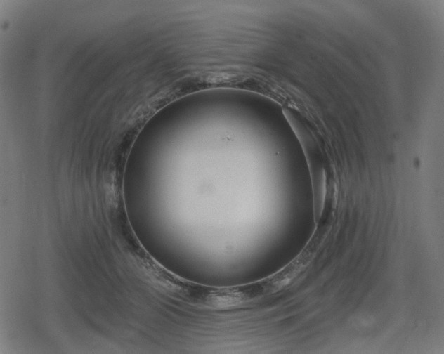 X0000078290510200611101112