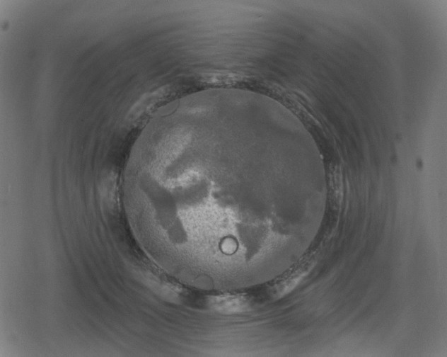 X0000078290511200611101112