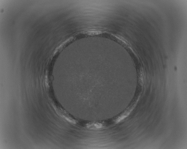 X0000078290512200611101112