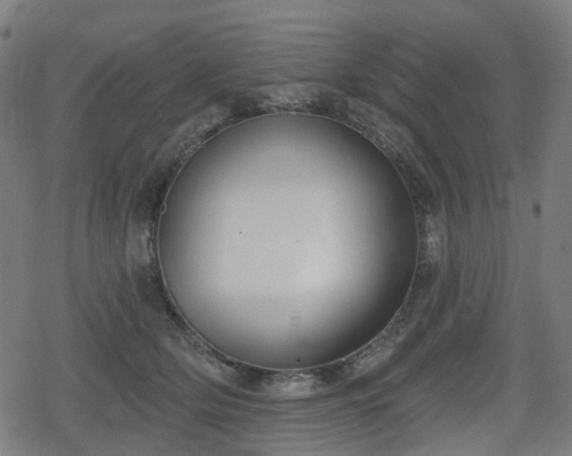 X0000078290514200611101112