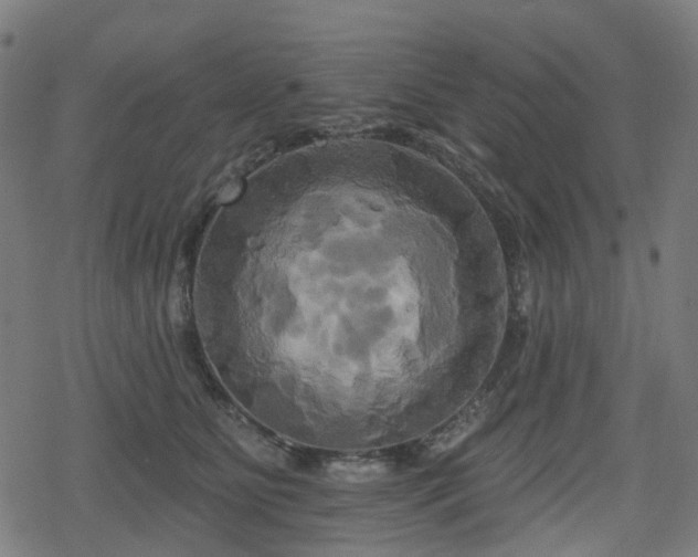 X0000078290515200611101111