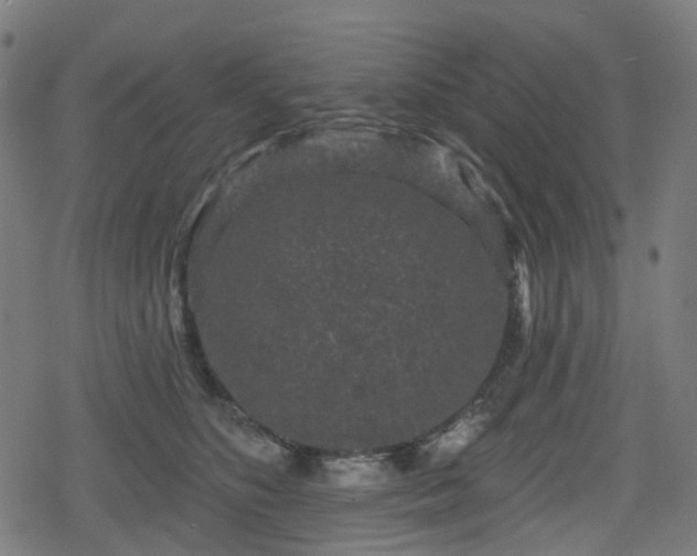 X0000078290516200611101111