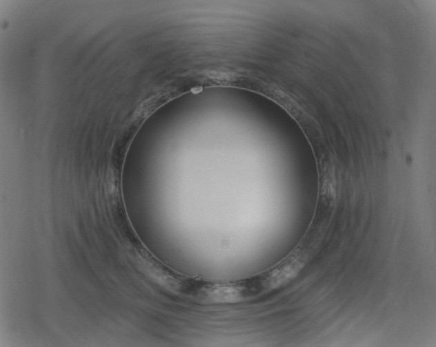 X0000078290518200611101111