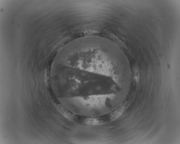 X0000078290519200611101111