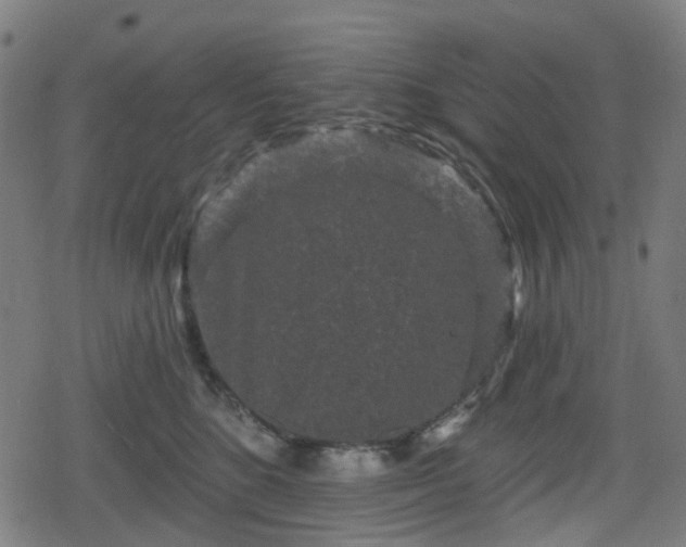 X0000078290520200611101111