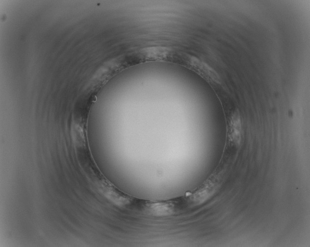 X0000078290522200611101111