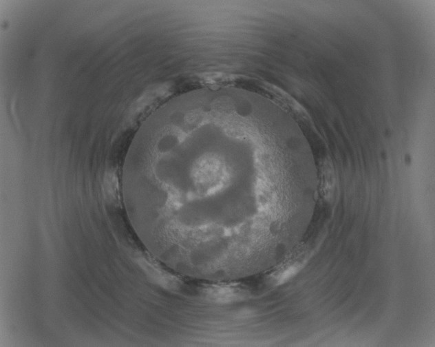 X0000078290523200611101111