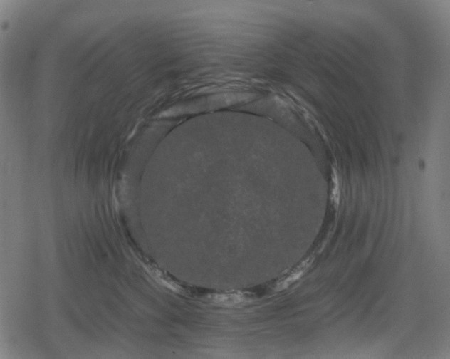 X0000078290524200611101111