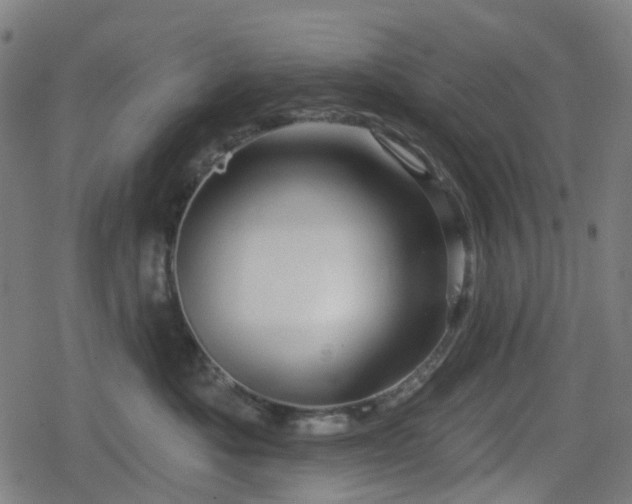 X0000078290525200611101111