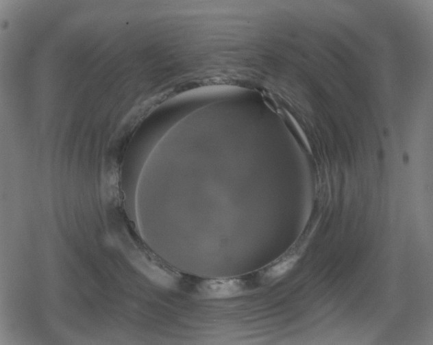 X0000078290526200611101111