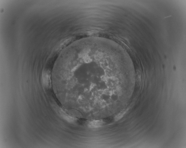 X0000078290527200611101111