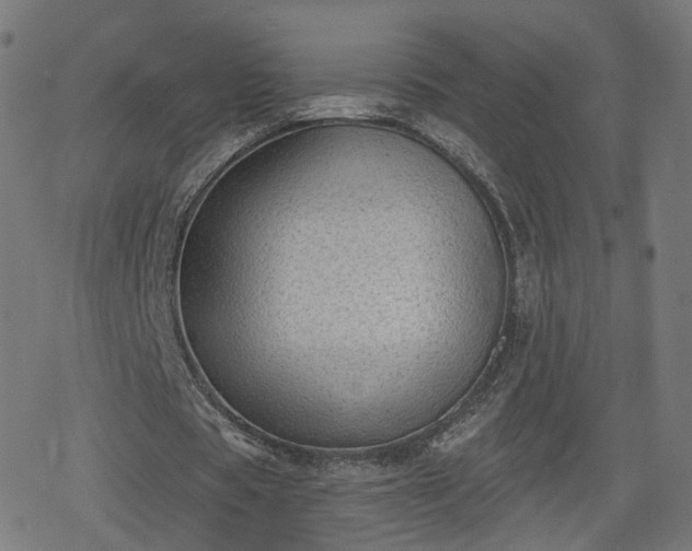 X0000078290529200611101110