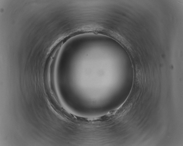 X0000078290530200611101111