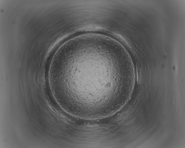 X0000078290531200611101111