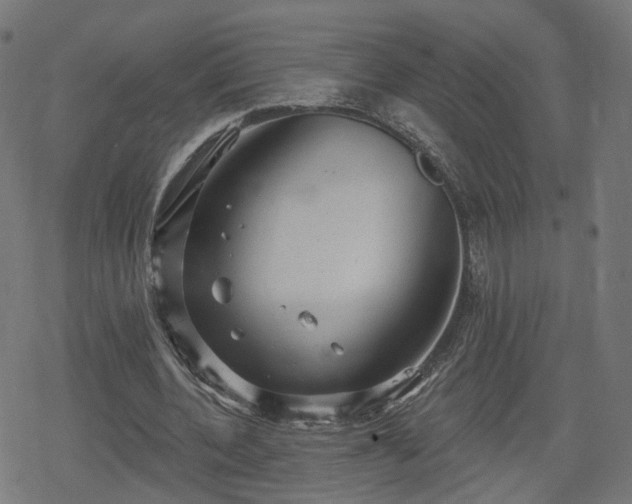 X0000078290532200611101111