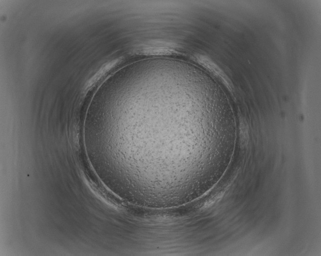 X0000078290533200611101111