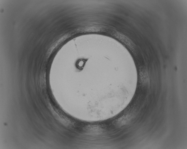 X0000078290534200611101111